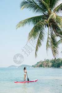 在热带度假胜地的海洋上站起船桨背景图片