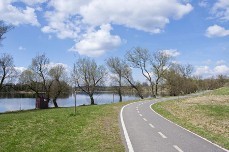 道路指示标公园中的灰色背景