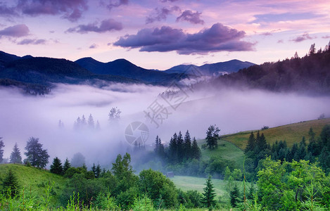 雾中的山脉和森林夏季日出时美丽的自然景观森林和山脉图片