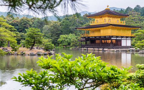 日本京都金阁寺的金阁图片