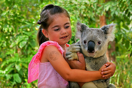 在澳大利亚金海岸昆士兰州抱着Koa背景图片