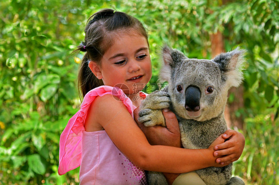 在澳大利亚金海岸昆士兰州抱着Koa图片