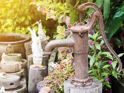 花园里老式生锈的手抽水泵图片