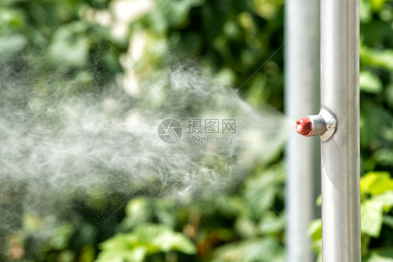 花园灌溉管道上的蒸汽器图片
