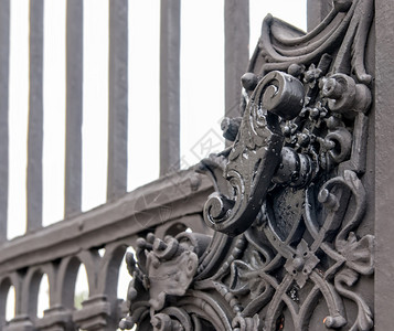 在奥地利维也纳旧区金属门的金属门上仿图片
