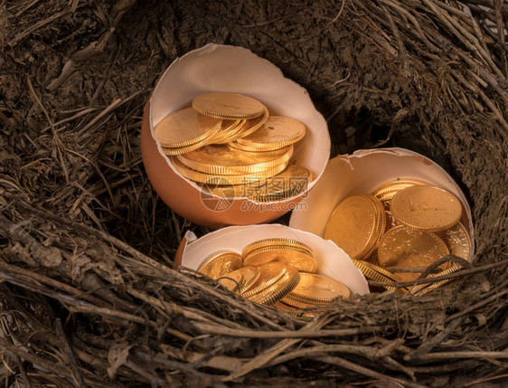 在树枝燕窝的破蛋壳中选择纯金美国库硬币图片