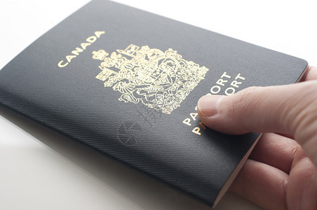 一只手拿着加拿大护照背景图片