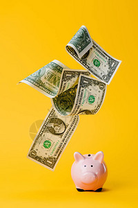 粉红小猪银行和不断下跌的美元钞票在图片