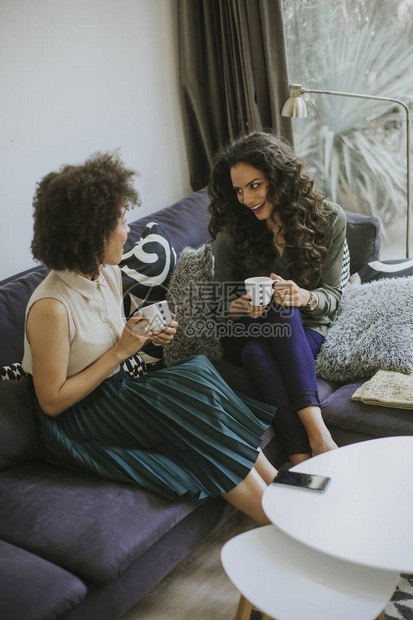 两名多种族年轻妇女在Rhe起居室聊天图片