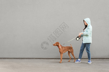 拴着皮带的女孩和狗走在一堵灰色的墙背景下主人在灰色的背景上遛狗一个女人和一只宠物牵着皮带走图片