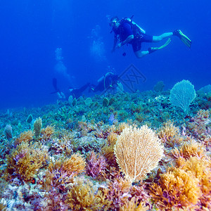 年轻人Scuba水图片