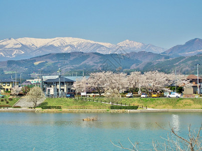 日本宫城县的Oizumi纪念医院樱花和白河对面山峰景象校图片