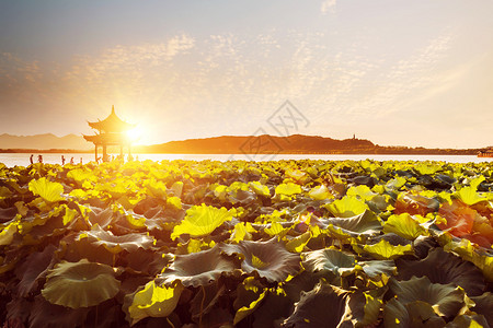 杭州西湖夕阳美景图片