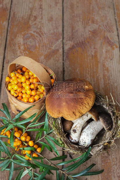 篮子里的园林小鹿角在红色木桌的强大背景下野蘑菇图片