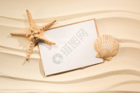 与海星贝壳和沙纸上空白图片