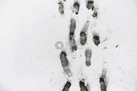 雪地上的脚印第一场雪上的脚印鞋子和脚印动物和鸟类在图片