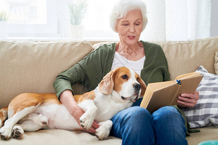 穿着宠物狗坐在沙发上和在现代公寓大声读书的白头发高龄妇女在家图片