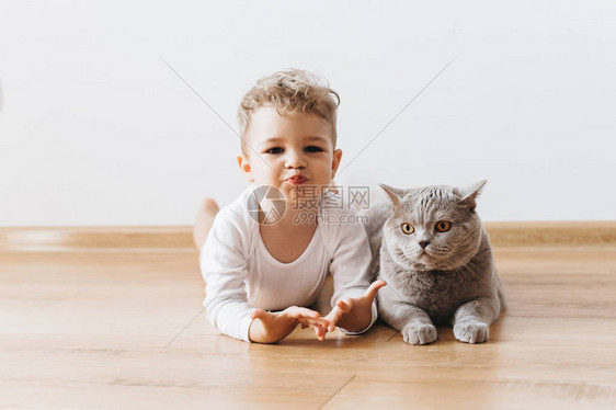 可爱的小孩男和灰色英国短发猫躺在地板图片