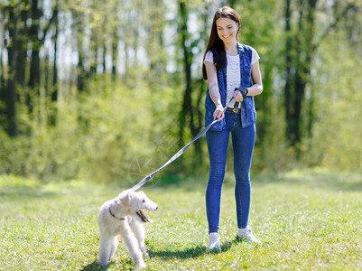 女孩带着狗走在夏日图片