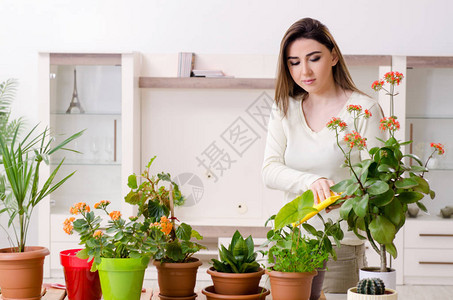 室内有植物的年图片