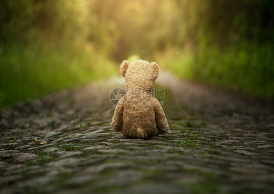 孤独的泰迪熊坐在路上图片