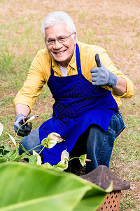 活跃的亚洲老人在花园种植绿种植物时微笑的肖像背景图片