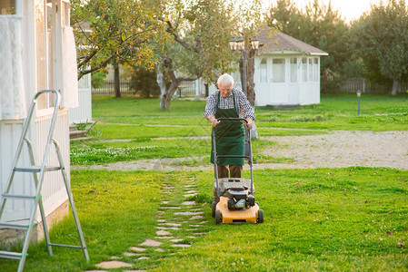 老人修剪草坪园丁在工作最图片