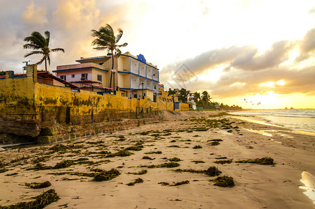 古巴的瓦拉德罗海滩上满是藻类一个男人背着图片