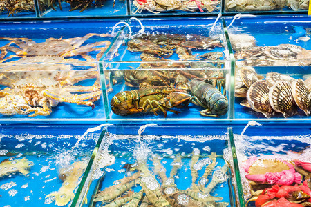 到旅游广州市黄沙水产品交易市场春季螃蟹图片