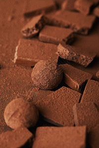 可粉中松露和巧克力棒的特写视图图片