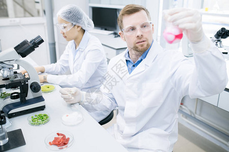 研究实验室食物质研究的两名科学家的肖像图片
