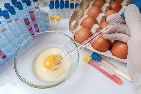 科学家正在测试细菌的卵图片