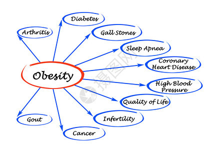 肥胖情况图图片
