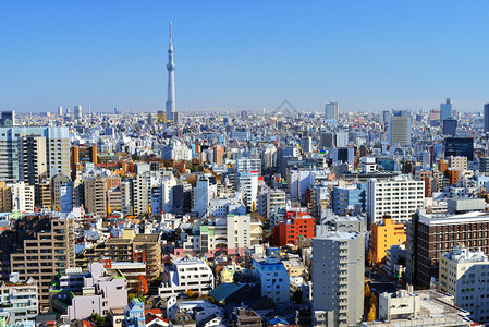 东京天空树塔在日本东京密图片