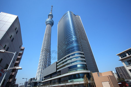 东京天空树日本电波塔图片