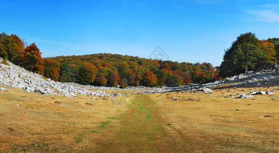 高原秋景图片