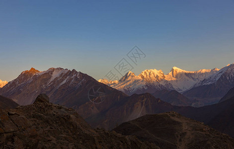 昆仑雪菊巴基斯坦的拉卡佩希山峰山峰顶是背景