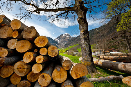 锯木柴从瑞士阿尔卑斯山高落下图片