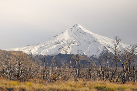 拉宁火山是位于阿根廷和智利边境的一座被冰覆盖的锥形成层火山图片