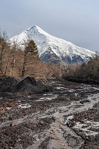 拉宁火山是位于阿根廷和智利边境的一座被冰覆盖的锥形成层火山图片