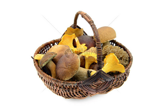 一篮子的食用蘑菇图片