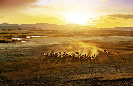 马群在沙漠灰尘中快速奔跑与日图片