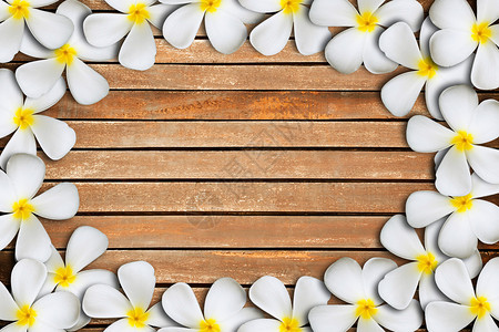 木纹上的白色鸡蛋花框图片