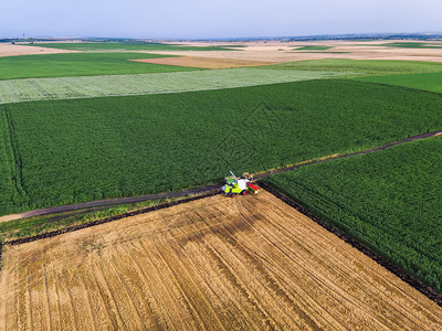 关于大型小麦田合并作业的空中观测图A图片