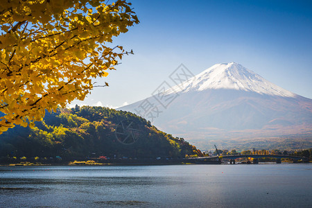 秋天的河口湖富士山图片