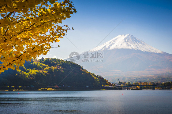 秋天的河口湖富士山图片