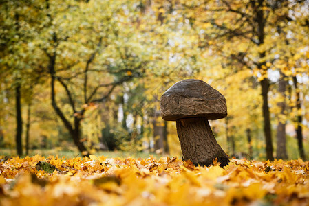 公园里有木制装饰的秋季景观背景图片