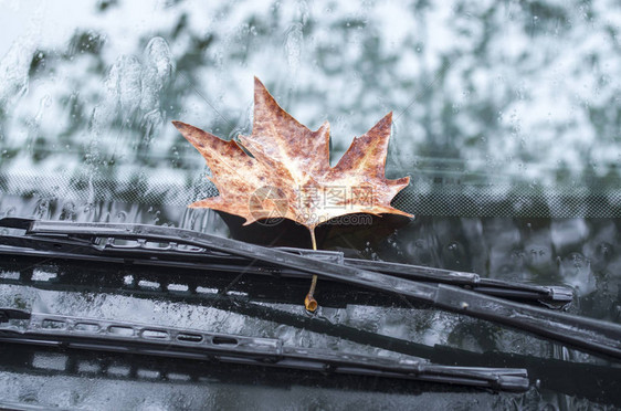 秋天下雨时车擦纸上图片