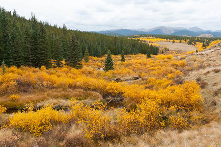 在科罗拉多落基山脉的秋天风景图片