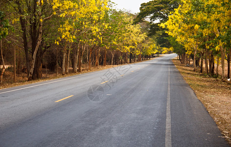 美丽乡村的路图片